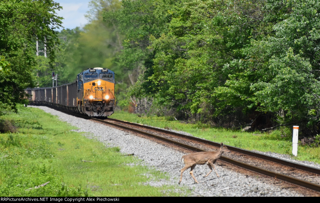 CSX 3311